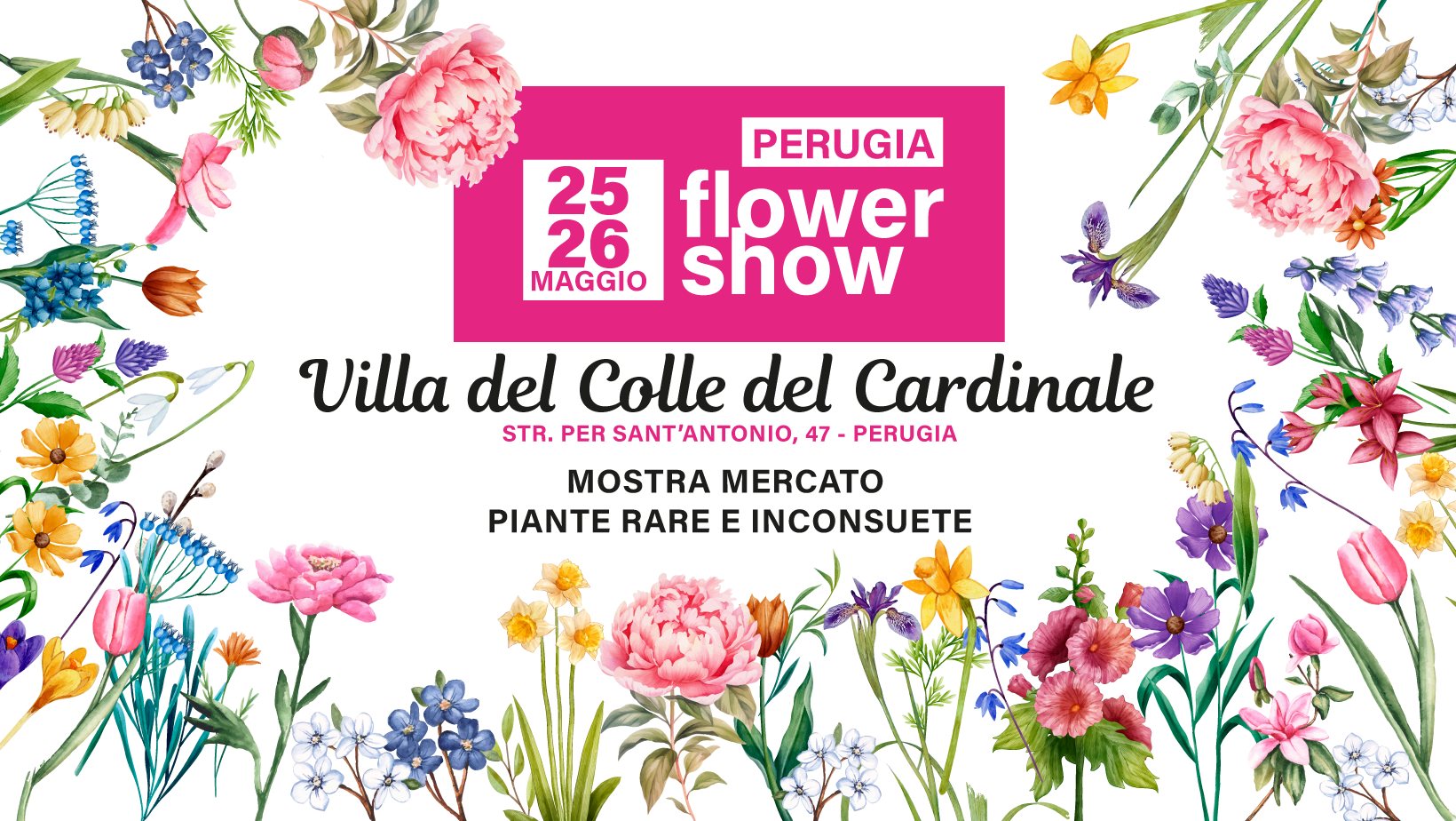 Perugia-flower-show