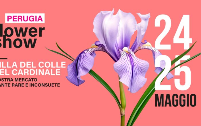 perugia-flower-show