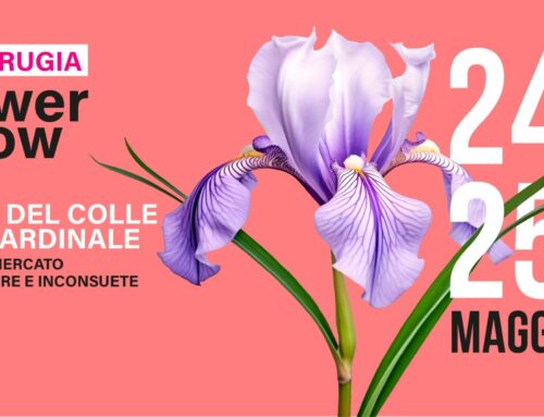 Perugia Flower Show