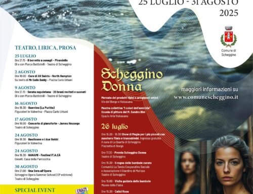 Schegggino: Neraviglioso