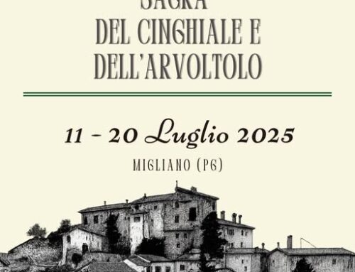 Migliano (Marsciano): Sagra del Cinghiale e dell’Arvoltolo