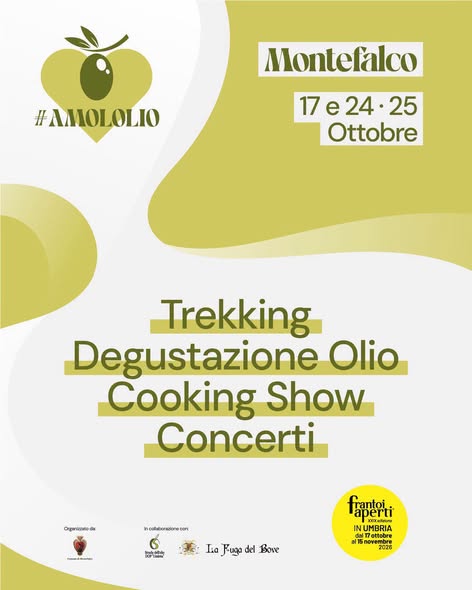 amololio-montefalco-2026