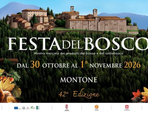 Montone: Festa del Bosco